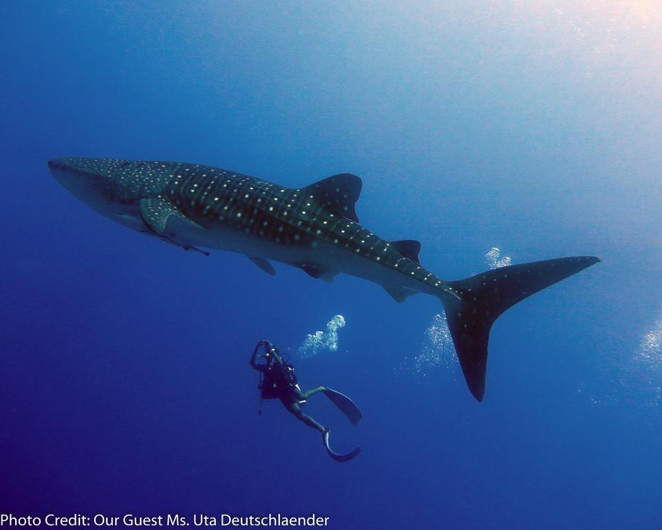 Boutique Beach All Inclusive Diving Hotel Dhigurah  Luaran gambar