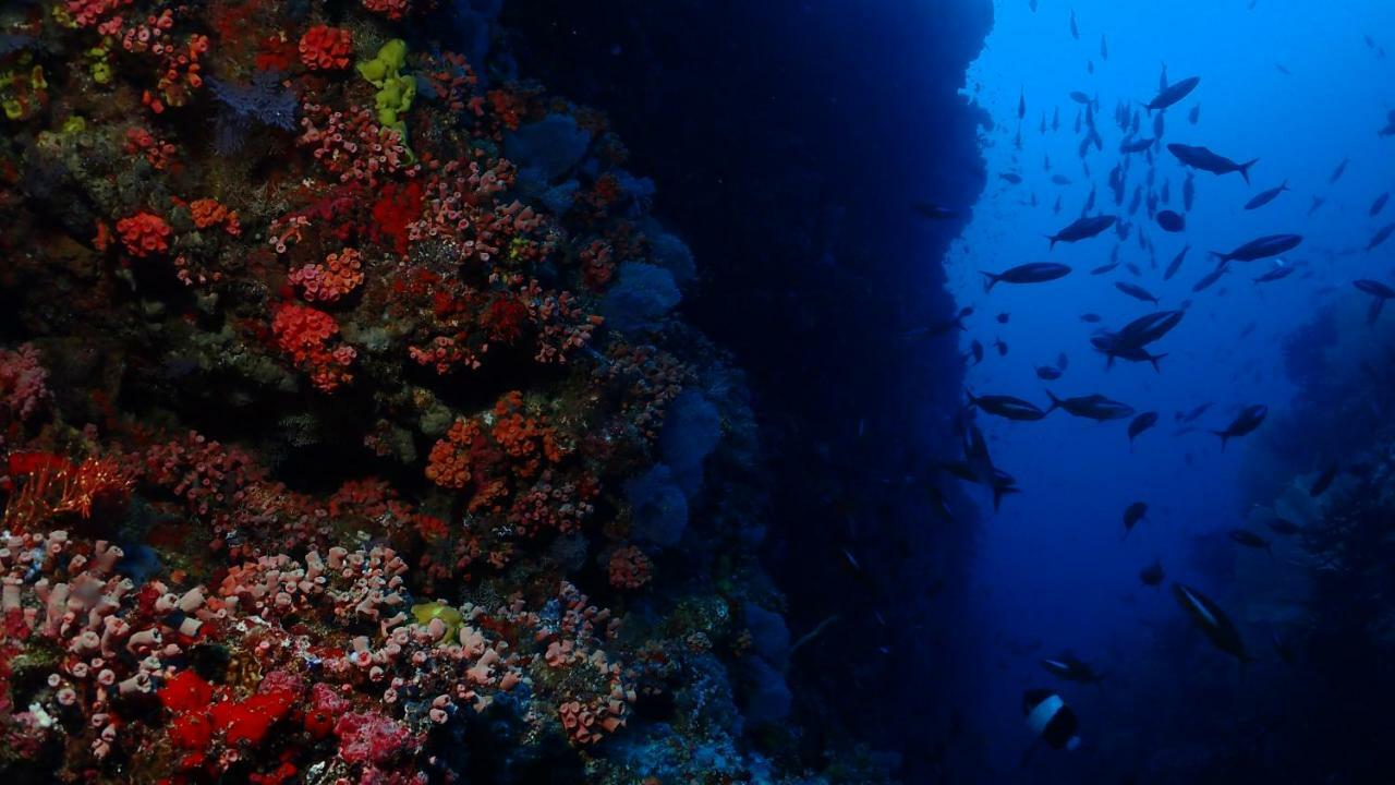Boutique Beach All Inclusive Diving Hotel Dhigurah  Luaran gambar