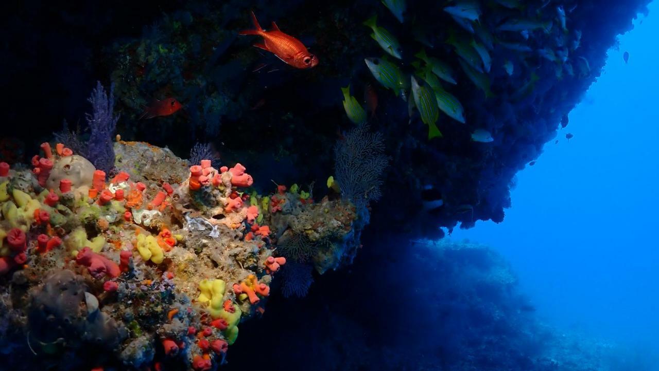 Boutique Beach All Inclusive Diving Hotel Dhigurah  Luaran gambar